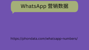 WhatsApp 营销数据